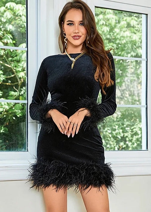 Fuzzy Trim Long Sleeved Velvet Dress