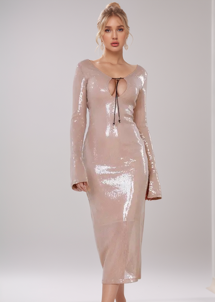 Raffaella Sequined Bodycon Dress