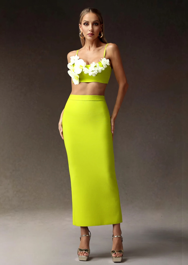 Blooming Floral Crop Top and Maxi Skirt