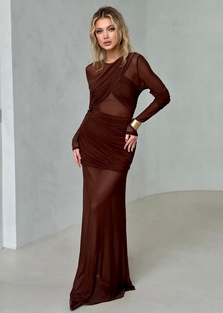 Long Sleeve Ruched Mesh Maxi Dress