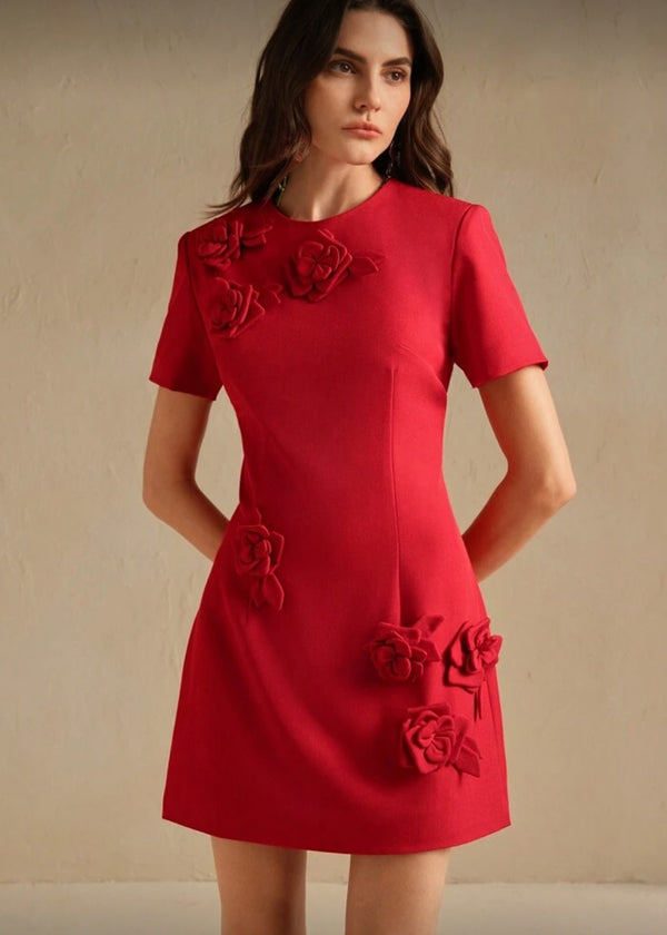 Round Neck Floral Appliqué Mini Dress