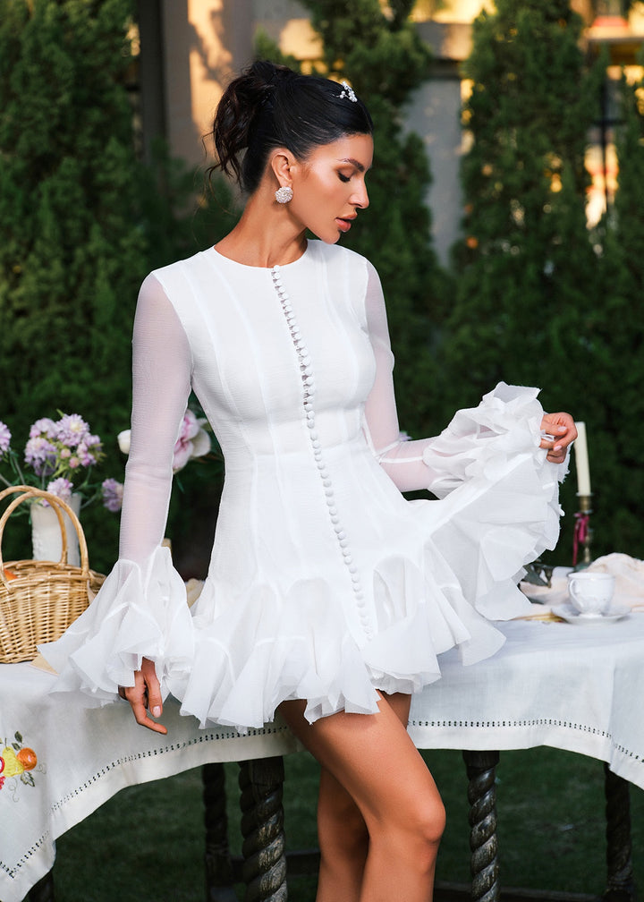 Sheer Sleeve Button Detail Ruffle Mini Dress