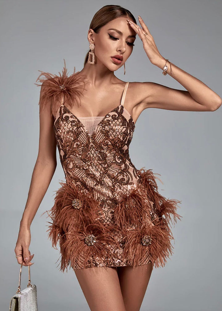 Mesh Sequins & Feathers Embroidered Mini Dress