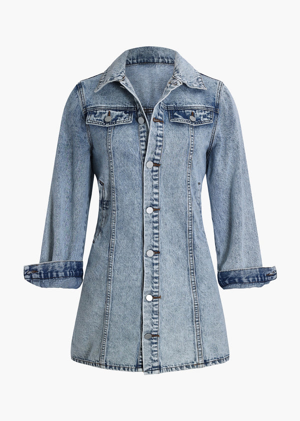 Single Breasted Long Sleeve Denim Dress