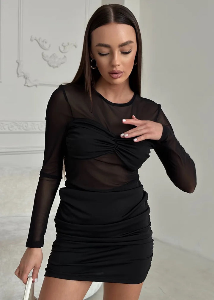 Mesh Sheer Inserts Long Sleeve Mini Dress