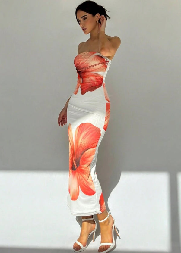 Aziza Floral Print Tube Maxi Dress