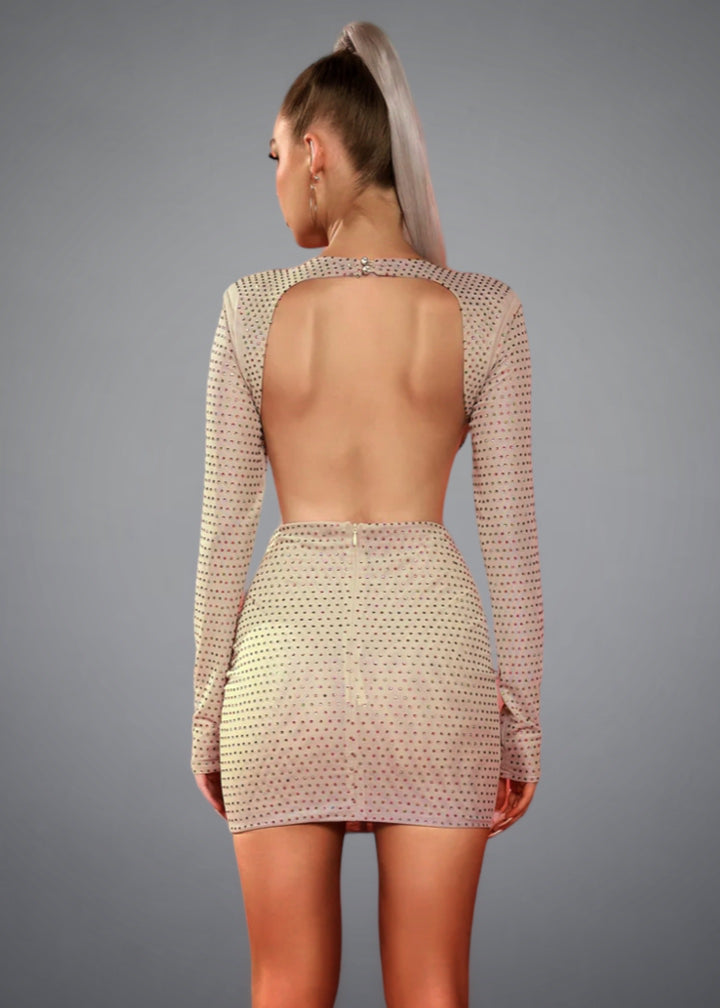 Rosette Detail Backless Long Sleeved Sequined Mini Dress