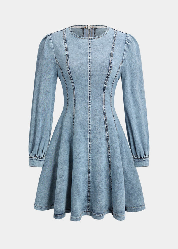 Long Sleeve A-Line Denim Mini Dress