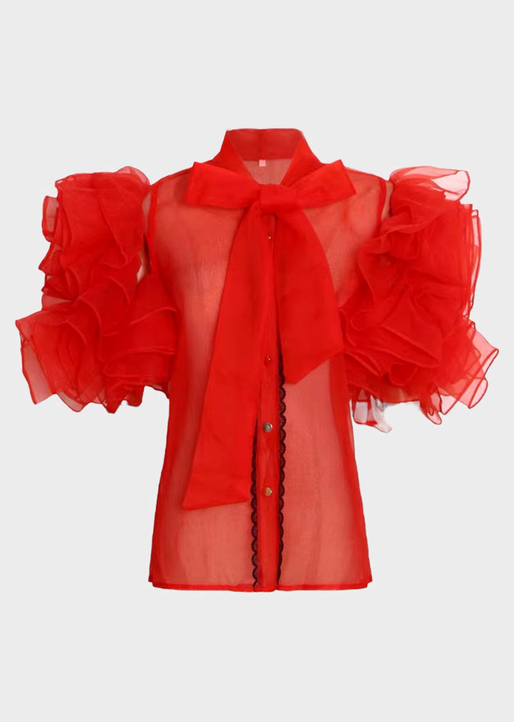 Didiane Organza Ruffled Blouse