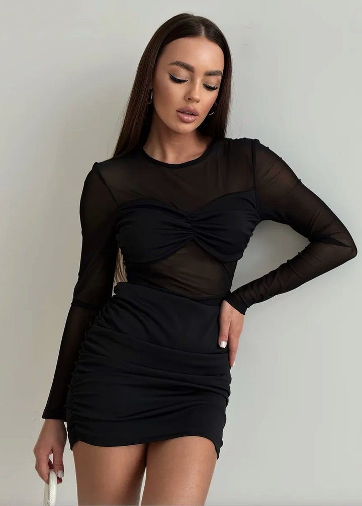 Mesh Sheer Inserts Long Sleeve Mini Dress