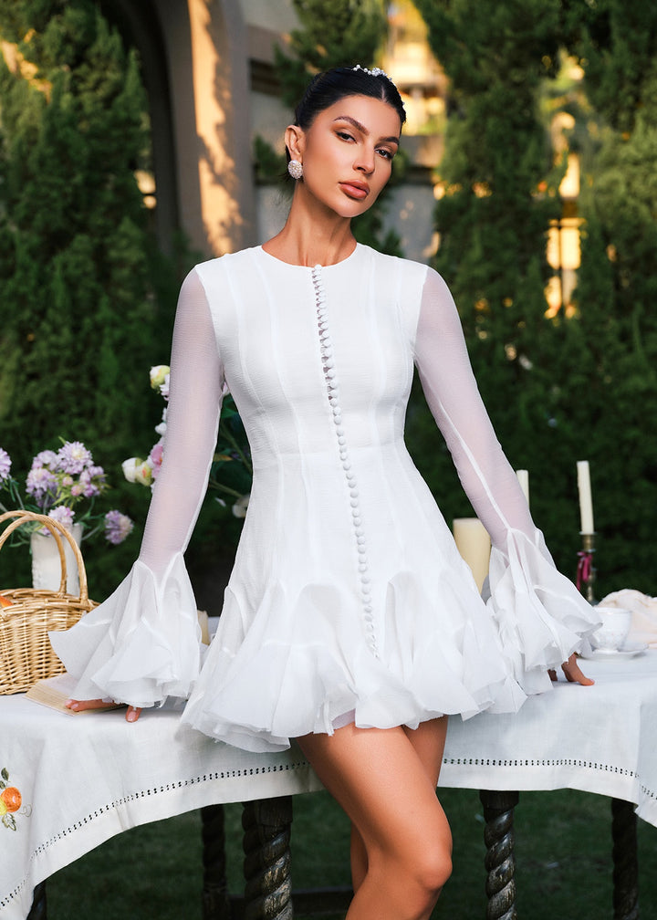 Sheer Sleeve Button Detail Ruffle Mini Dress