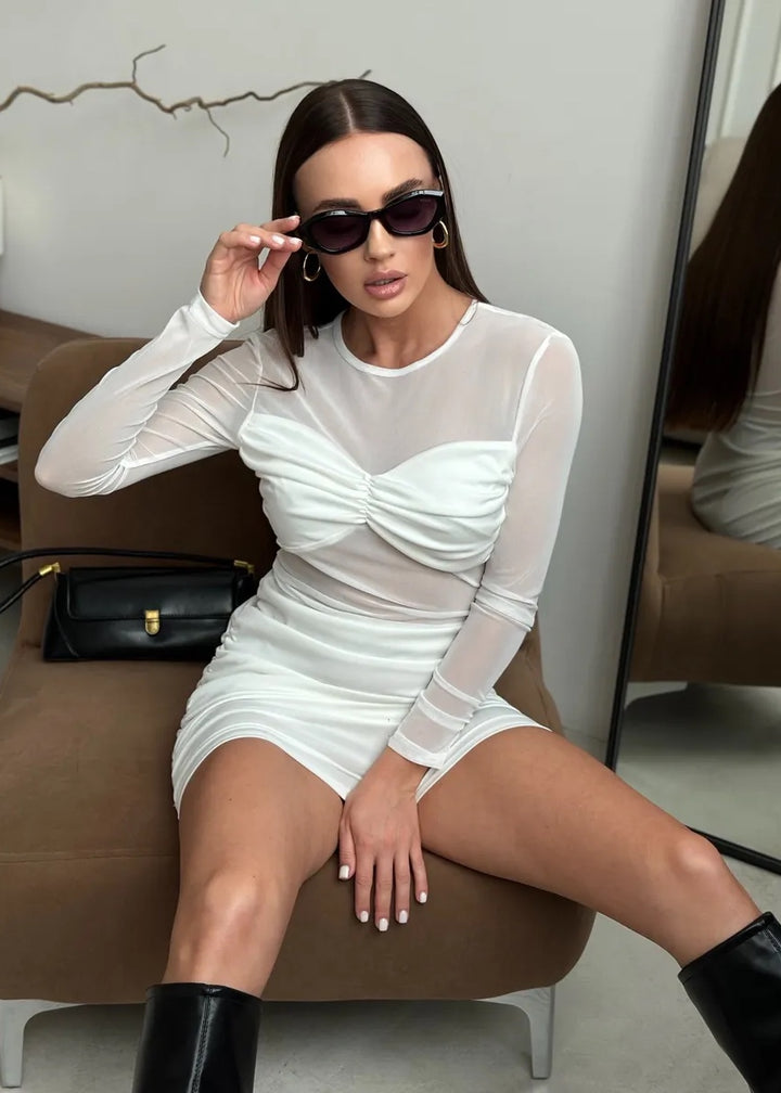 Mesh Sheer Inserts Long Sleeve Mini Dress