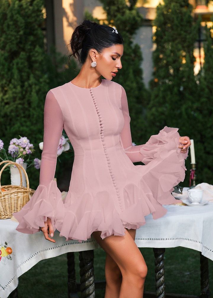 Sheer Sleeve Button Detail Ruffle Mini Dress