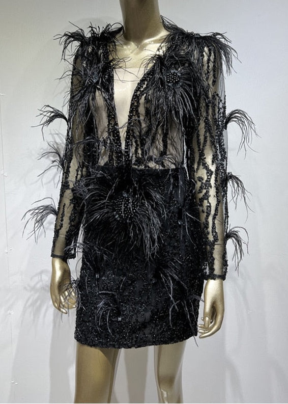 Long Sleeve Mesh Beading & Feather Mini Bodycon Dress